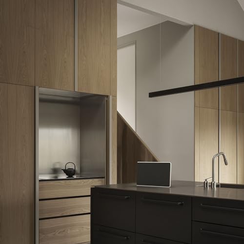 Bang & Olufsen Beosound Level 1200489 の商品画像 9