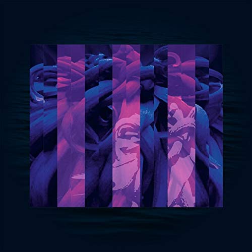 Palram HobbyGrower Galvanized 2-Level Shelving System