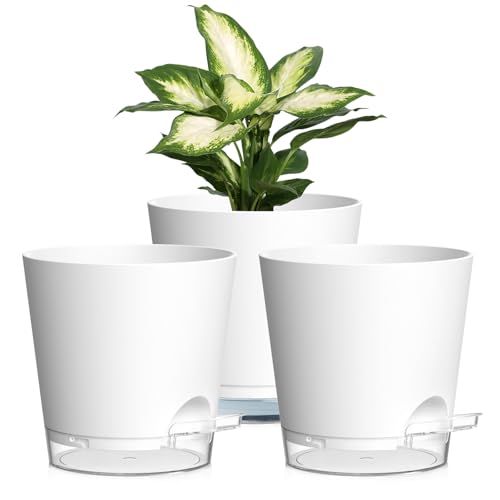 Homeuouz 3er Set Selbstbewässerungstopf – 15cm Blumentöpfe mit Bewässerungssystem in Matter Optik, selbstwässernder Blumentopf für Balkon & Innenbereich, Weiß mit transparentem Untersetzer Homeuouz 3er Set Selbstbewässerungstopf – 15cm Blumentöpfe mit Bewässerungssystem in Matter Optik, selbstwässernder Blumentopf für Balkon & Innenbereich, Weiß mit transparentem Untersetzer