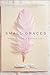 Small Graces: The Quiet Gifts of Everyday Life