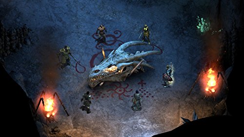Pillars of Eternity Expansion Pass Code Steam PC Mac complet - 7