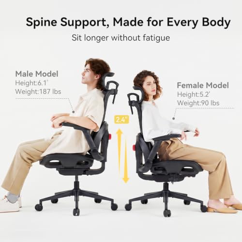 Image of SIHOO B300 Pro Ergonomic Office Chair Without Footrest, 4D Lumbar Support