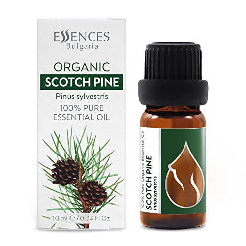 Essences Bulgaria Aceite Esencial Biológico de Pino silvestre (Pinus sylvestris) 10 ml, 100% Puro, Sin Diluir, Grado Terapéutico, De Granja Familiar, Certificado Orgánico