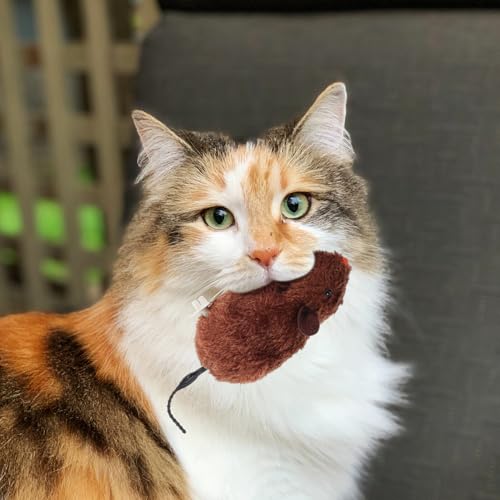 Juguetes ratón de cuerda para gatos interactivos y masticables de peluche 5