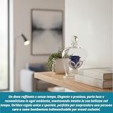 DC DEBORA CARLUCCI B0FSXSZMDF lato 4