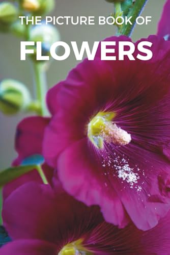 Book for Alzheimer Patients: A Gift Book of Flowers for Alzheimer's Patients and Seniors with Dementia (Picture Books) (Picture Book Gifts for ... and Seniors with Dementia - Picture Books)