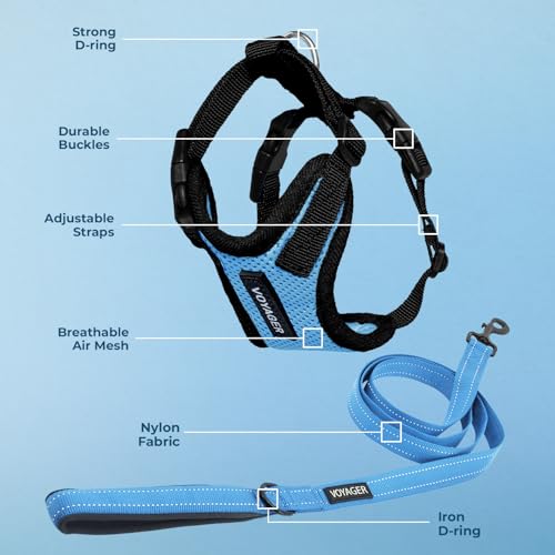 Image of Best Pet Supplies Voyager Step-in Lock Pet Harness w Reflective Pet Leash Combo Set with Neoprene Handle 5ft - Supports Small, Medium and Large Breed Puppies /Cats - Baby Blue /Black Trim, XS