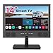 ZOSHING 14 Inch Smart TV,Small Television with HDMI Input,Built-in Digital Tuner/USB-Supports Wall-Mounted-for Bedroom,Kitchen,RV - Includes Remote Control(Black)