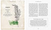 Herbología sensorial: Manual para conectar con el poder medicinal de las plantas de tu entorno… y con la tierra, los elementos y las estaciones 8484458474 Book Cover