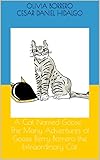 Gooseberry Publications LLC