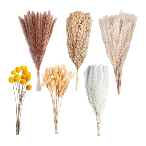 Ramo de pasto pampas seco 100 piezas para decoración miniatura 5