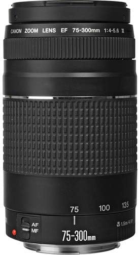 Canon EOS 2000D EF-S 18-55mm III Kit con lente 75-300mm miniatura 6