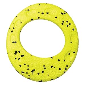 KONG Reflex Flyer Hundefrisbee 25X21,5X2Cm