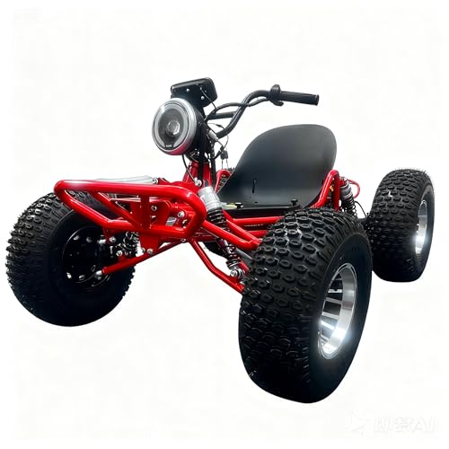 Zyliathor Electric Go Kart, 48V 1500W Off-Road, 3-Speed with 8