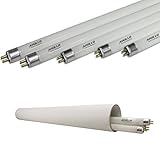 Apollo Horticulture 2 FT 6400K T5 Fluorescent Grow Light Bulbs - Pack of 5