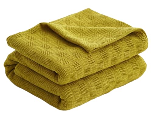 jbguPbgyʒʋCRbgK[[\tgSn̗ǂJE`\t@p  100x150cm