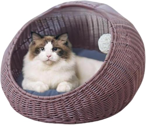 ҂݂̔Lybg̑ ٕ҂  L̑ nbN Lp ybg LbgnEX NbVt  ^ nEX Lpxbh p ėp OĐ􂦂  Lbgxbh Lp^nEX O\ lGʗp p