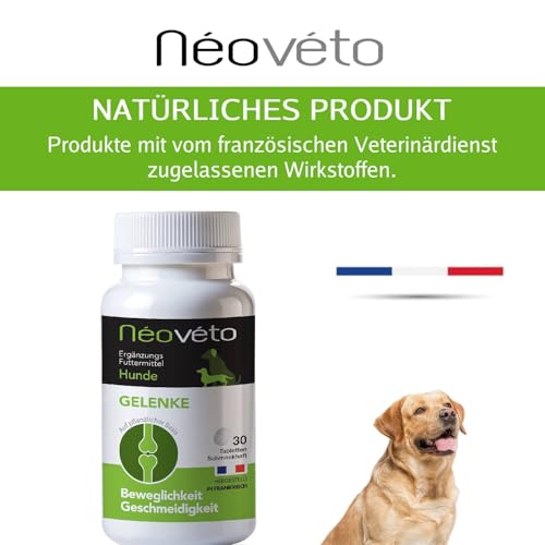 NEOVÉTO – Hundegelenke – 30 natürliche Tabletten – Arthrose bei Hunden – Entzündungshemmend – Vom Veterinärdienst zugelassene Wirkstoffe