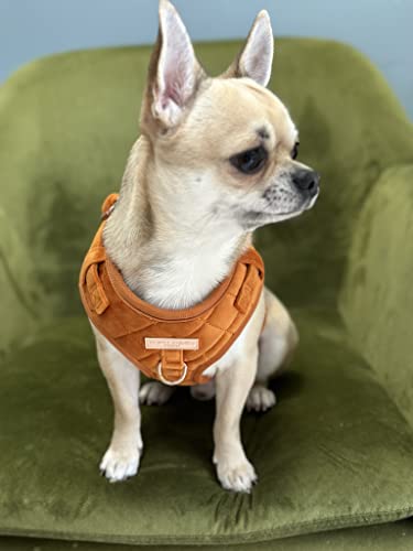 Fluffy Tailers Orange Velvet Adjustable Dog & Puppy Harness With Chest Strap for Small Medium & Teacup Sized Dogs - Image 4
