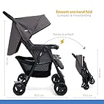 Joie Aire Twin Zwillingsbuggy inkl. Regenverdeck Dark Pewter
