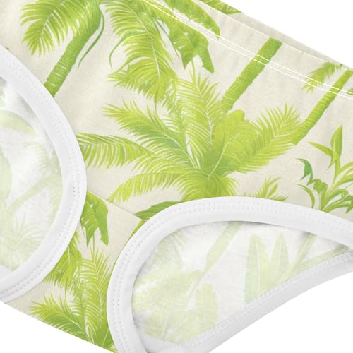 GuoChe Cotton Briefs Breathable Panties Comfort Underwear for Kid in Sizes 2T,3T, 4T, 5T, 6Y and 8Y4