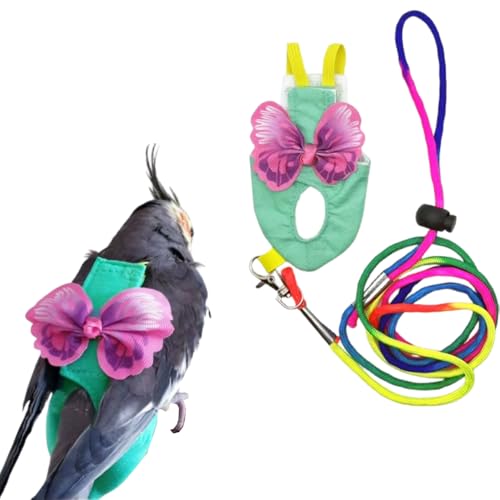 CELONROMF Escape-Proof Parrot Harness & Leash Set with Diaper - Adjustable Flight Suit with Bow & Safety Cord for Conures, African Grey, Parakeets, Doves (Pink-M)