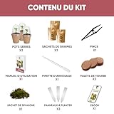 Zoom IMG-1 nopalia kit piante carnivore premium Zoom IMG-1 nopalia kit piante carnivore premium