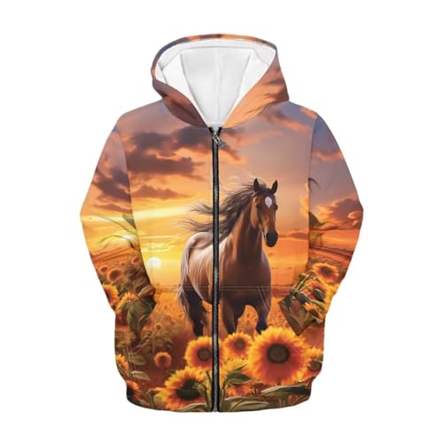 Boys Hoodie with Zipper Pockets Sweatshirt Boys' Fashion Hoodies & Sweatshirts 6-16Y2