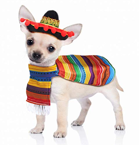 JOYIN Cinco de Mayo Fiesta Pet Costume (Small)