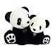 Histoire d'Ours Peluche Panda Petite
