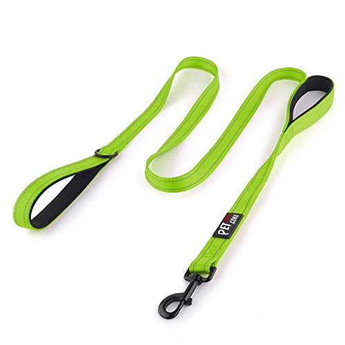 Plutus Pet Double Handle Dog Leash 6ft Long, Padded 2 Handle, Heavy Duty, Reflective Training Leash...