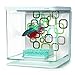 Marina Betta Aquarium Starter Kit, Geo Bubbles