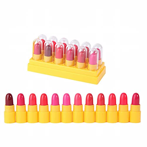 Cosmetic Lipgloss Kits Long Lasting Moisturizing Mini Lip Gloss Vintage Lipstick Set A Box Of 12 Cartoon Mini Sample Lipstick Suit Portable Lipstick (C, One Size)