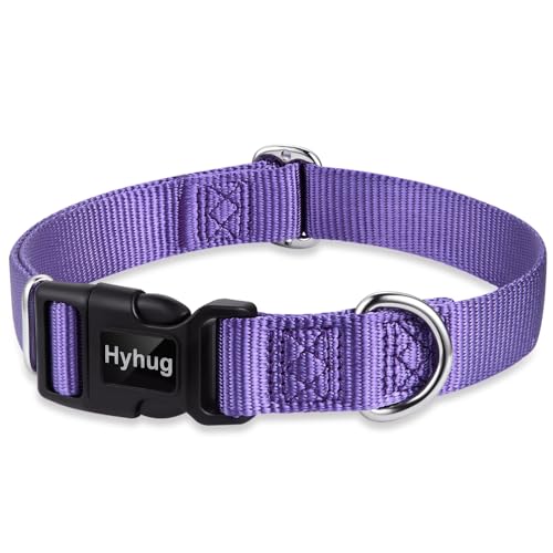Hyhug `iCցFNCbNobNtE߉\EvEFEϋvE^A^A^Kp̃ybgpi(rbOAEgoCIbg)