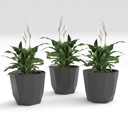 Image of YUCCABE ITALIA SHERA Hexa Plastic Planter Pot for Plants | Decorative Flower Pot | UV Protected Lightweight Indoor Outdoor Gamla for Home Decor, Balcony, Garden & Living Room