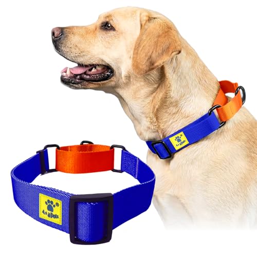 Image of A+a Pets' Martingale Dog Collar | No Pull Design, No Neck Strain, No Choke Design | for Large & Medium Dogs | Rust Free, Waterproof Nylon Training Collar (Blue & Orange)