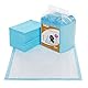 FEANDREA Puppy Pads, Welpen-Unterlage, 60 x 60 cm, 55 Stück, blau-weiß PTD65BU