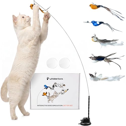 Whiskertons Interactive Bird Simulation Cat Toy Set,