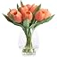 Peach Pink