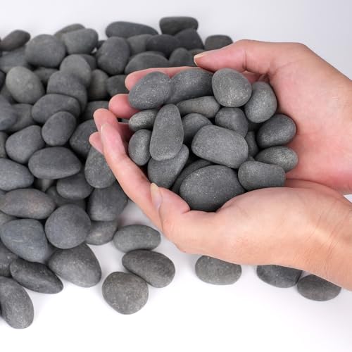 Rahato 20|h  O p 0.4-1C` p p VRK[fXg[ A/Aؔ/ԕr//p