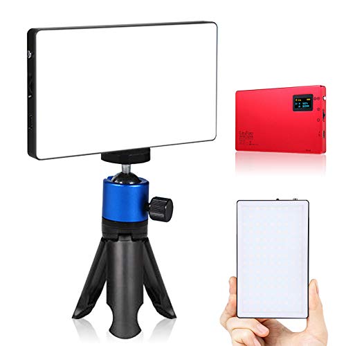 Chargeable Bicolor LED Video Light, USB Port Built-in Lithium Battery 4040mAh with Mini