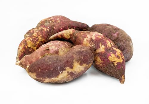Fresh Boniato (Cuban or Tropical Sweet Potato) 3lbs