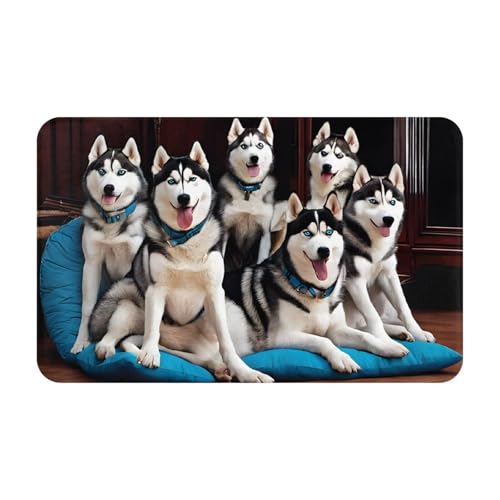Lovely Husky Print Living Room Bathroom Kitchen Anti Slip and Absorbent Carpet, Indoor Entrance Door Muddy Floor Mat, Ultra Soft Washable Carpet 21x31.5 Inches