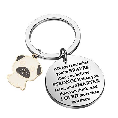 How to check a dog is kc registered How to check a dog is kc registered