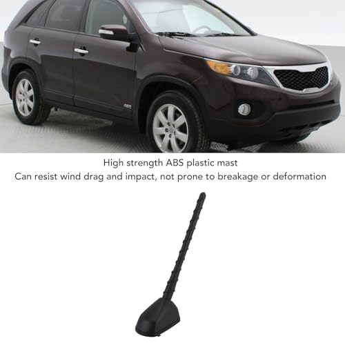 Antena de Techo de Coche con Recepción Estable y Plástico ABS CHICIRIS 5