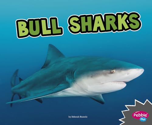 Bull Sharks (All About Sharks)