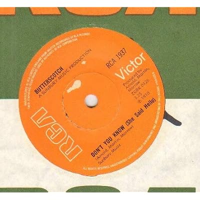BUTTERSCOTCH - DON'T YOU KNOW - 7 inch vinyl / 45