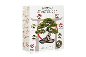VEGETALIUS - Kit complet de 6 Bonsai avec graines & accessoires - Fabriqué en France - Idée coffret cadeau original pour femme & homme pour votre intérieur ou jardin ! Idéal pour Noël ou Secret Santa