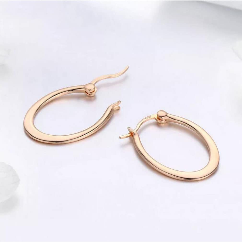 Pendientes de aro ovalados de Color Rosa para Mujer, Regalo de cumpleaños Diario Household faucets