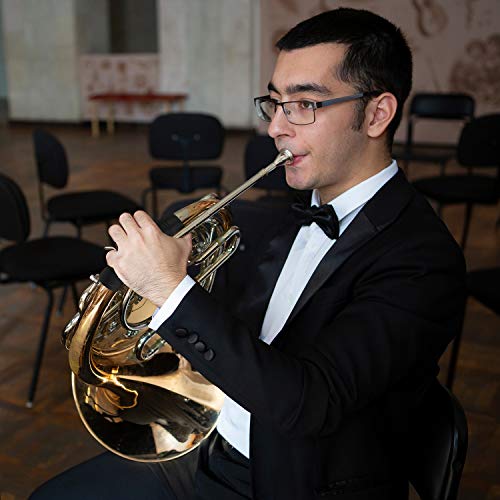 Eastar Single French Horn Key of F Standard 3-Key French Horn for Students Beginners with Hard Case Tuner Mouthpiece Gloves Valve Oil and Cleaning Kit, EFH-380